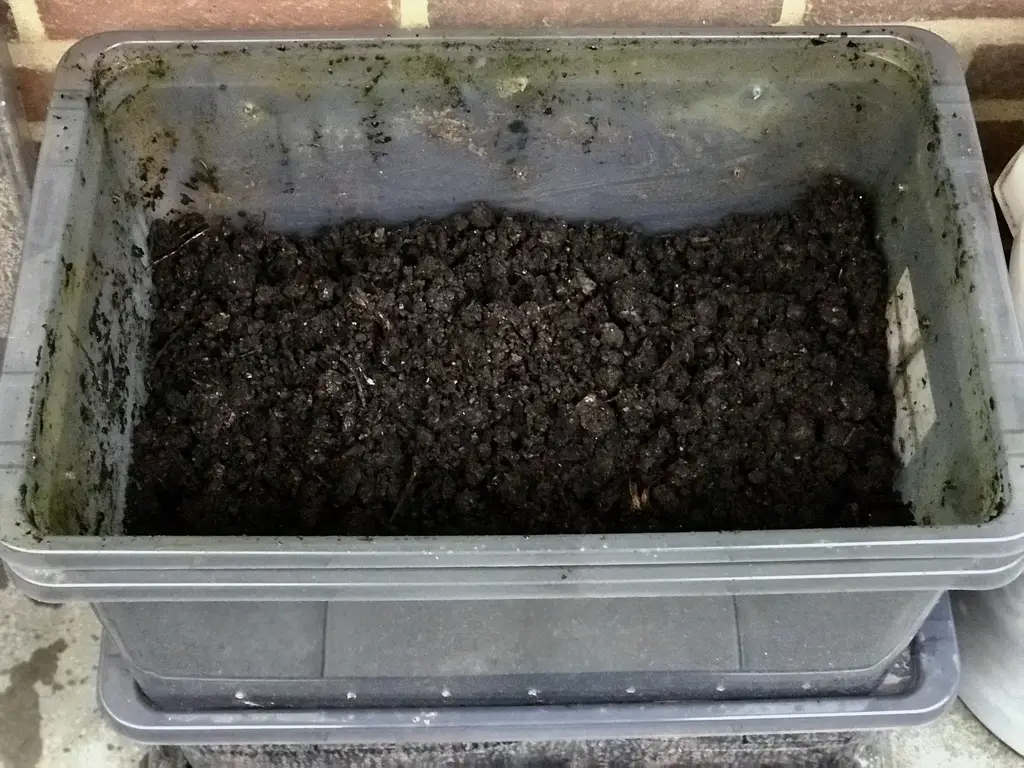 Kompost färdig jord