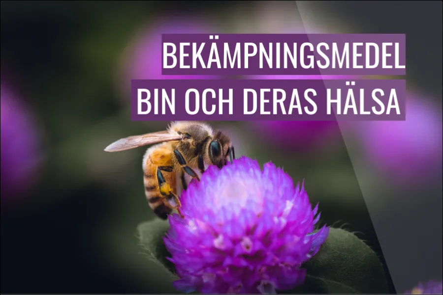 Hur påverkar bekämpningsmedel bin och deras hälsa