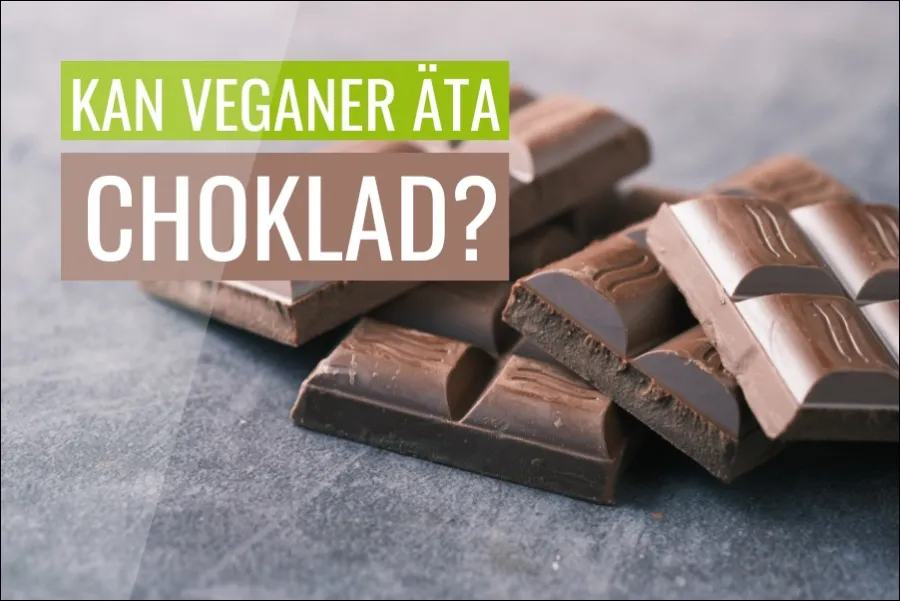 Kan veganer äta choklad