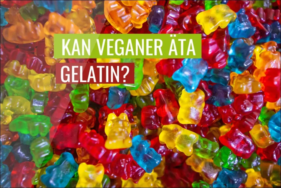 Kan veganer äta gelatin