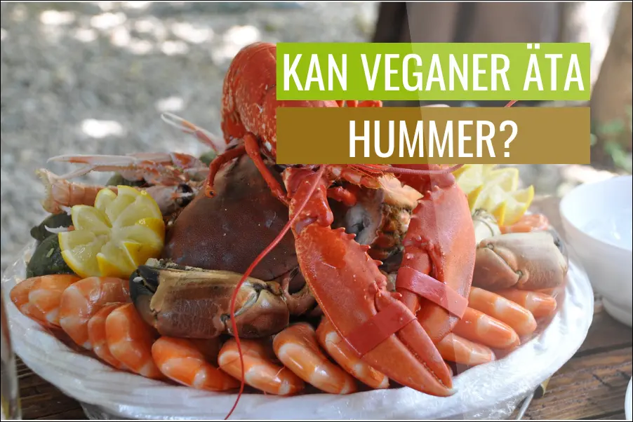 Hummer på tallrik
