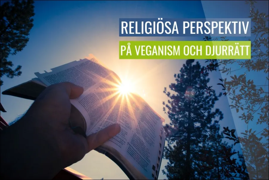 Religiösa perspektiv på veganism och djurrätt