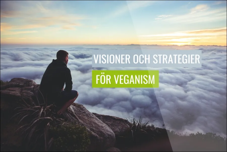 Visioner och strategier för en mer hållbar framtid med växtbaserade alternativ
