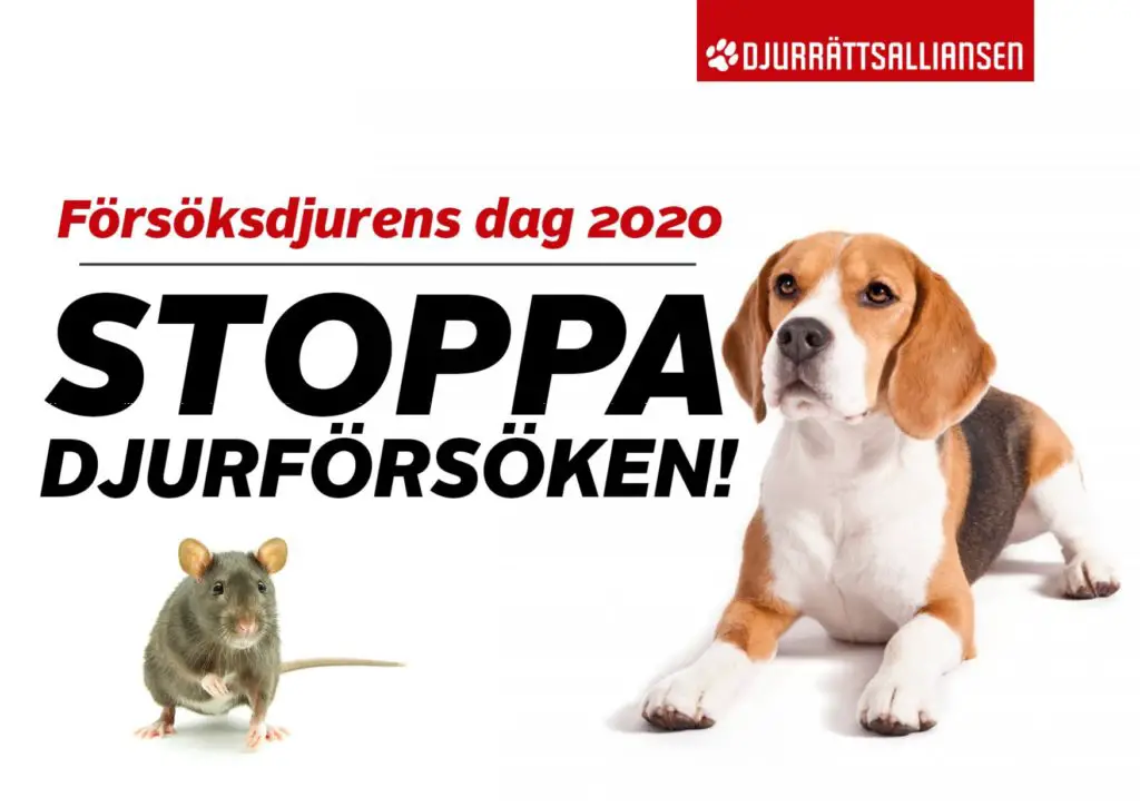 Försöksdjurens dag